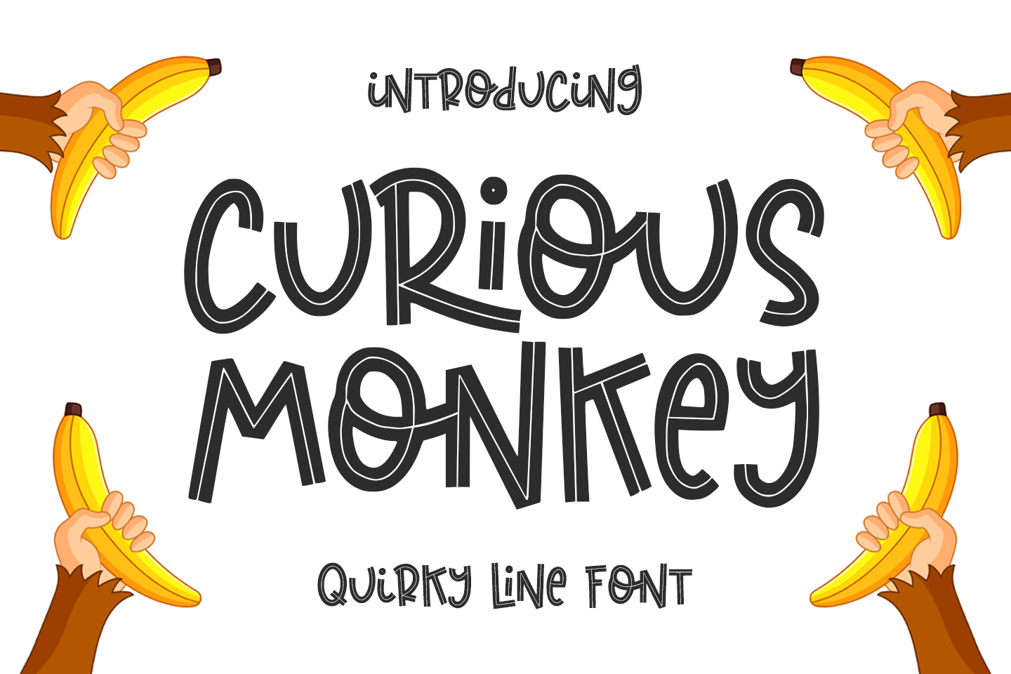 curious monkey